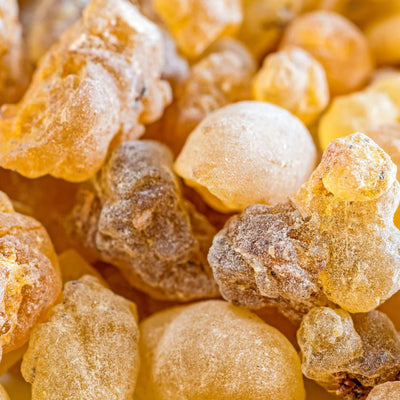 Boswellia Extract — 200mg